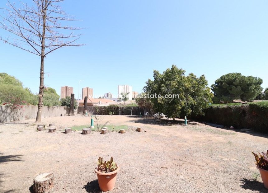 Resale - Plot -
Orihuela Costa - Campoamor