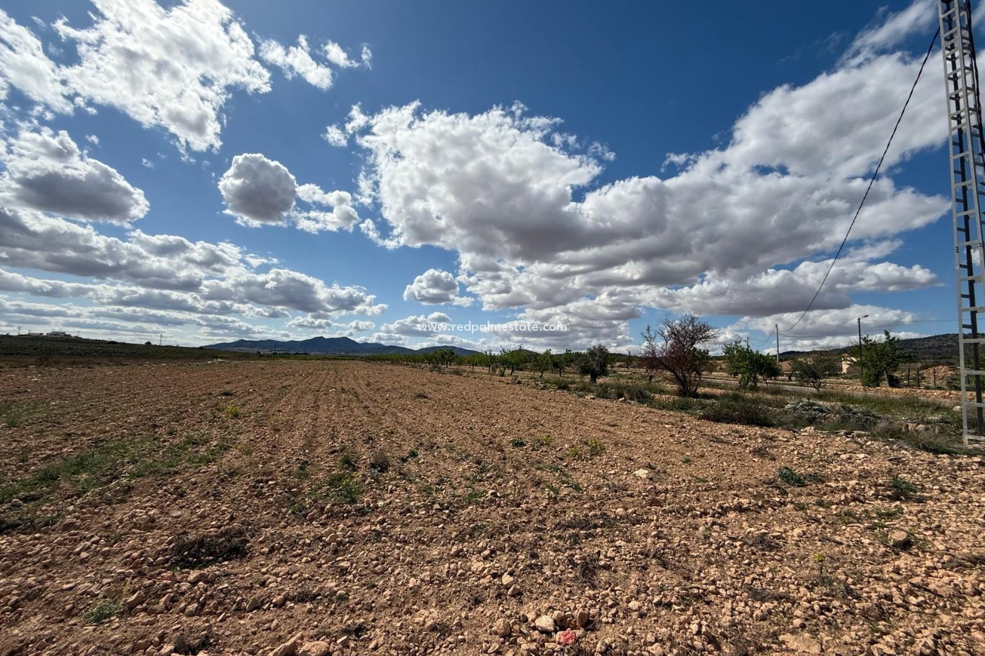 Resale - Plot -
Pinoso - Inland