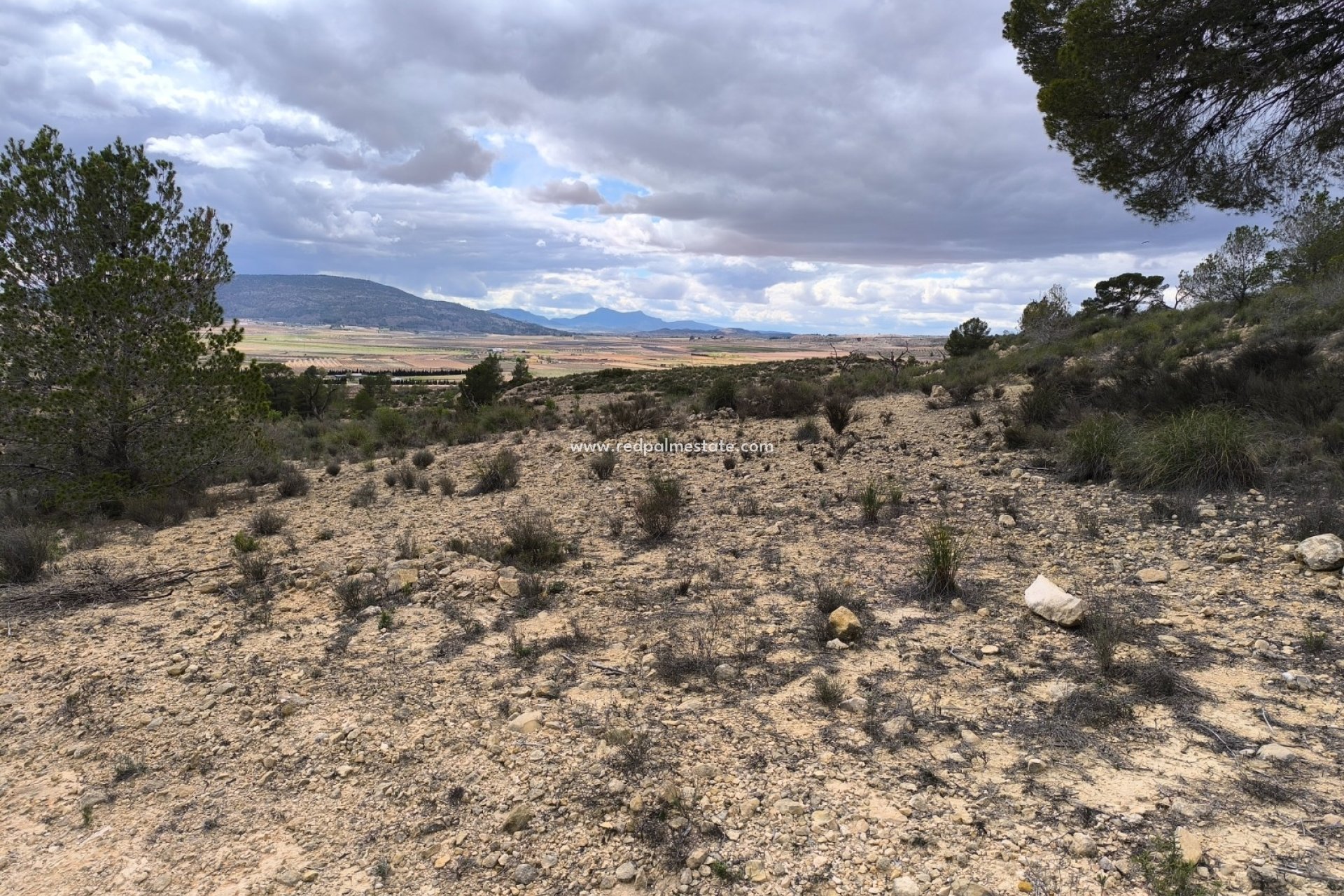 Resale - Plot -
Pinoso - Inland