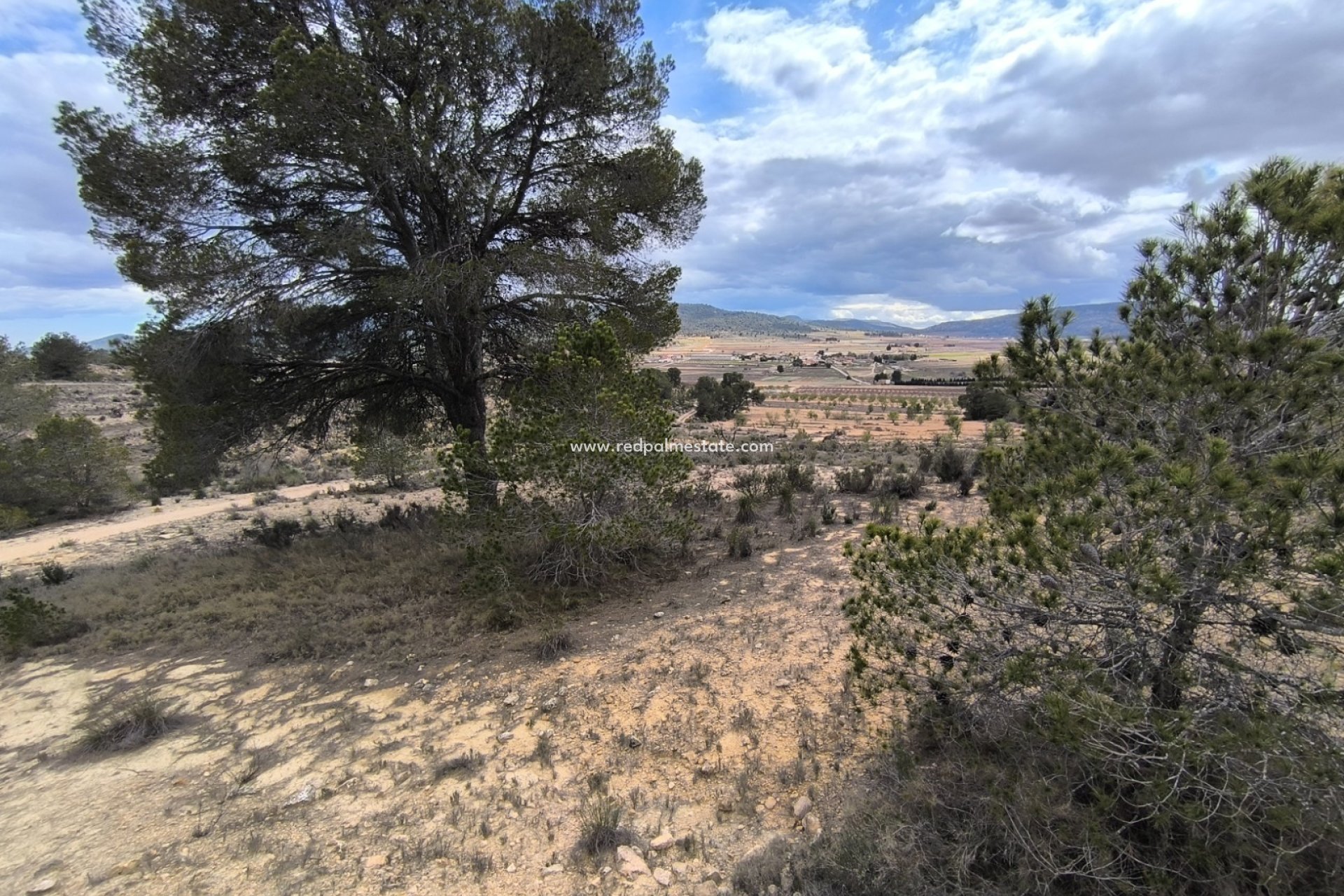 Resale - Plot -
Pinoso - Inland