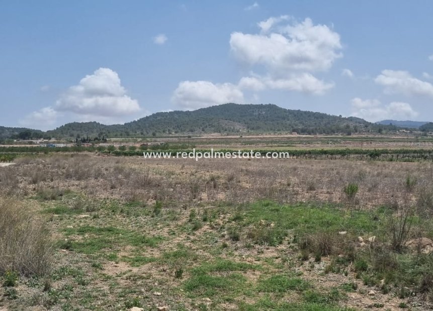 Resale - Plot -
Pinoso - Inland