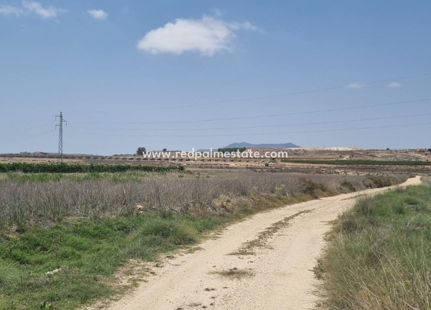 Resale - Plot -
Pinoso - Inland