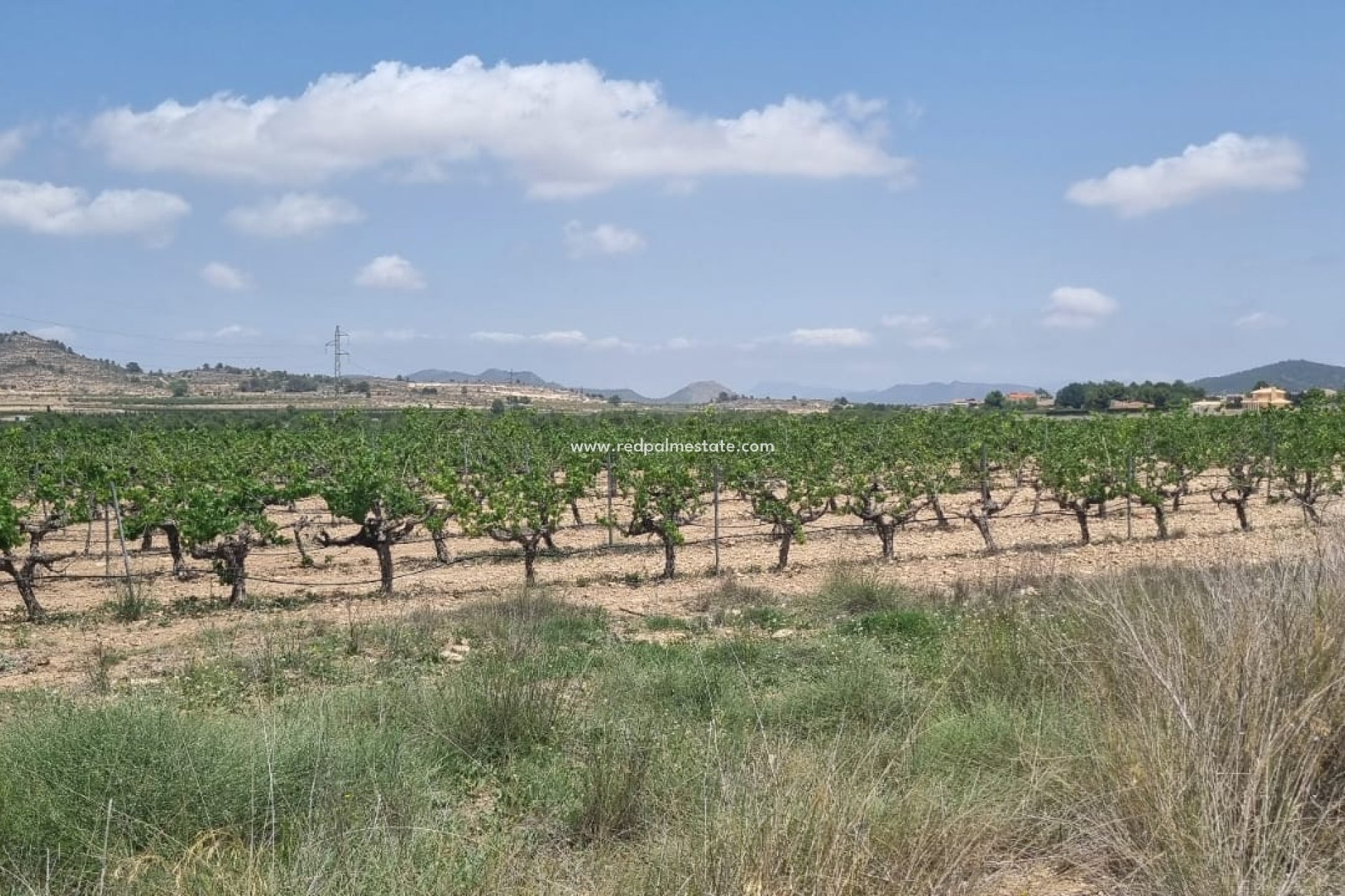Resale - Plot -
Pinoso - Inland