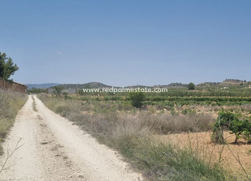 Resale - Plot -
Pinoso - Inland