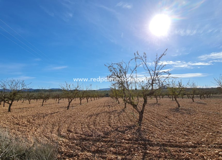 Resale - Plot -
Pinoso - Inland