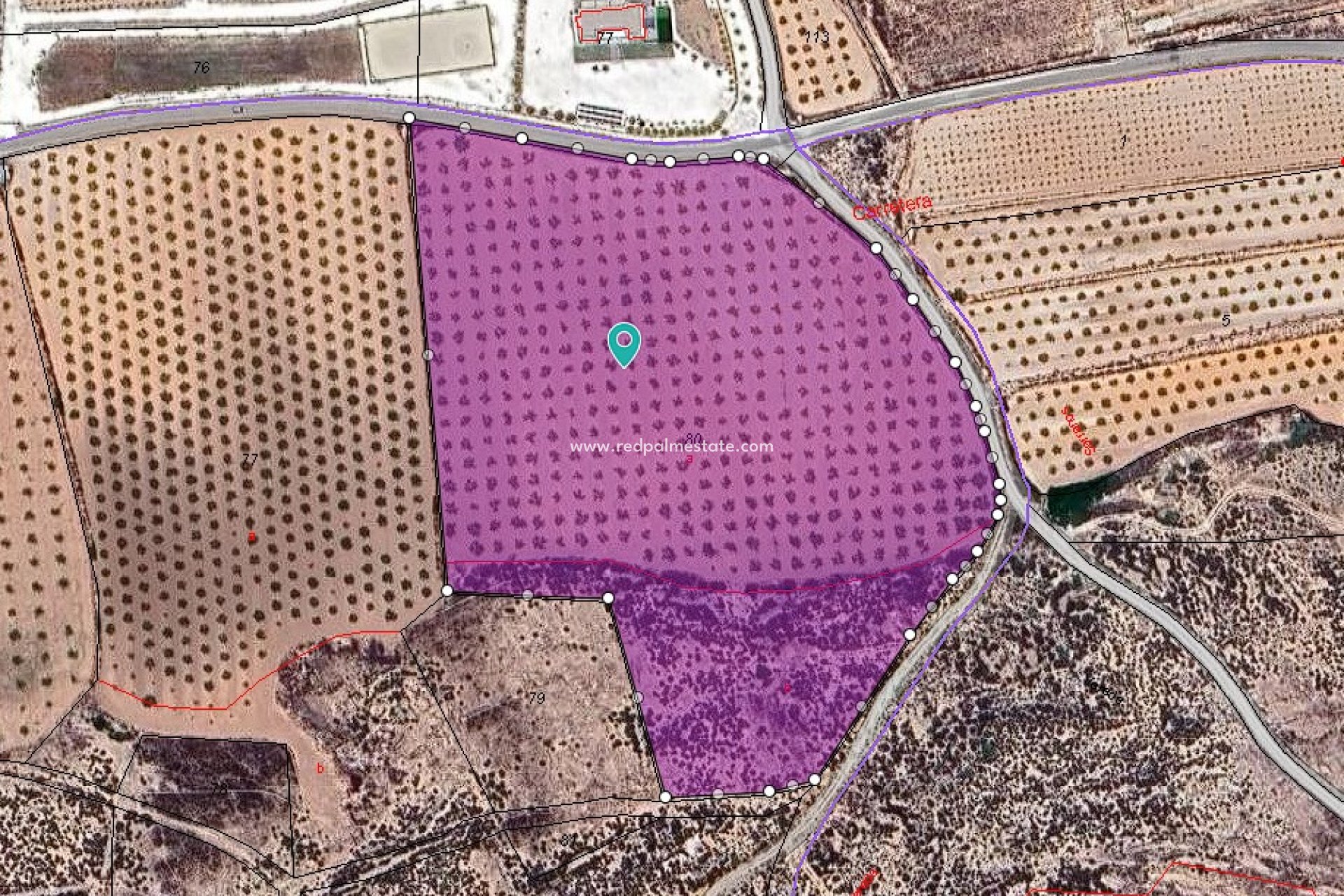 Resale - Plot -
Pinoso - Inland