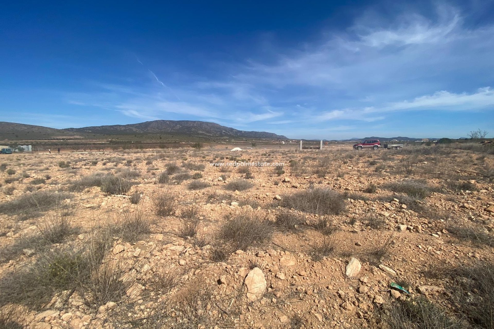 Resale - Plot -
Pinoso - Inland