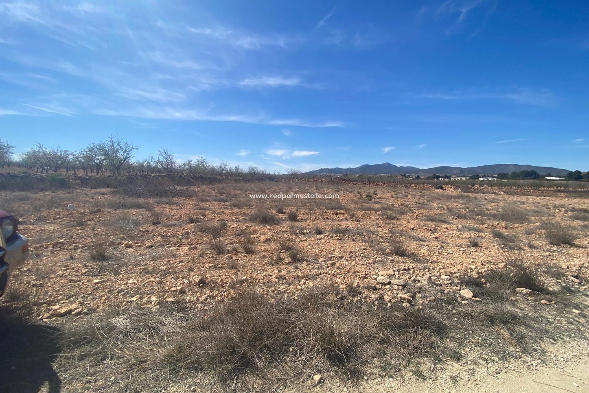 Resale - Plot -
Pinoso - Inland