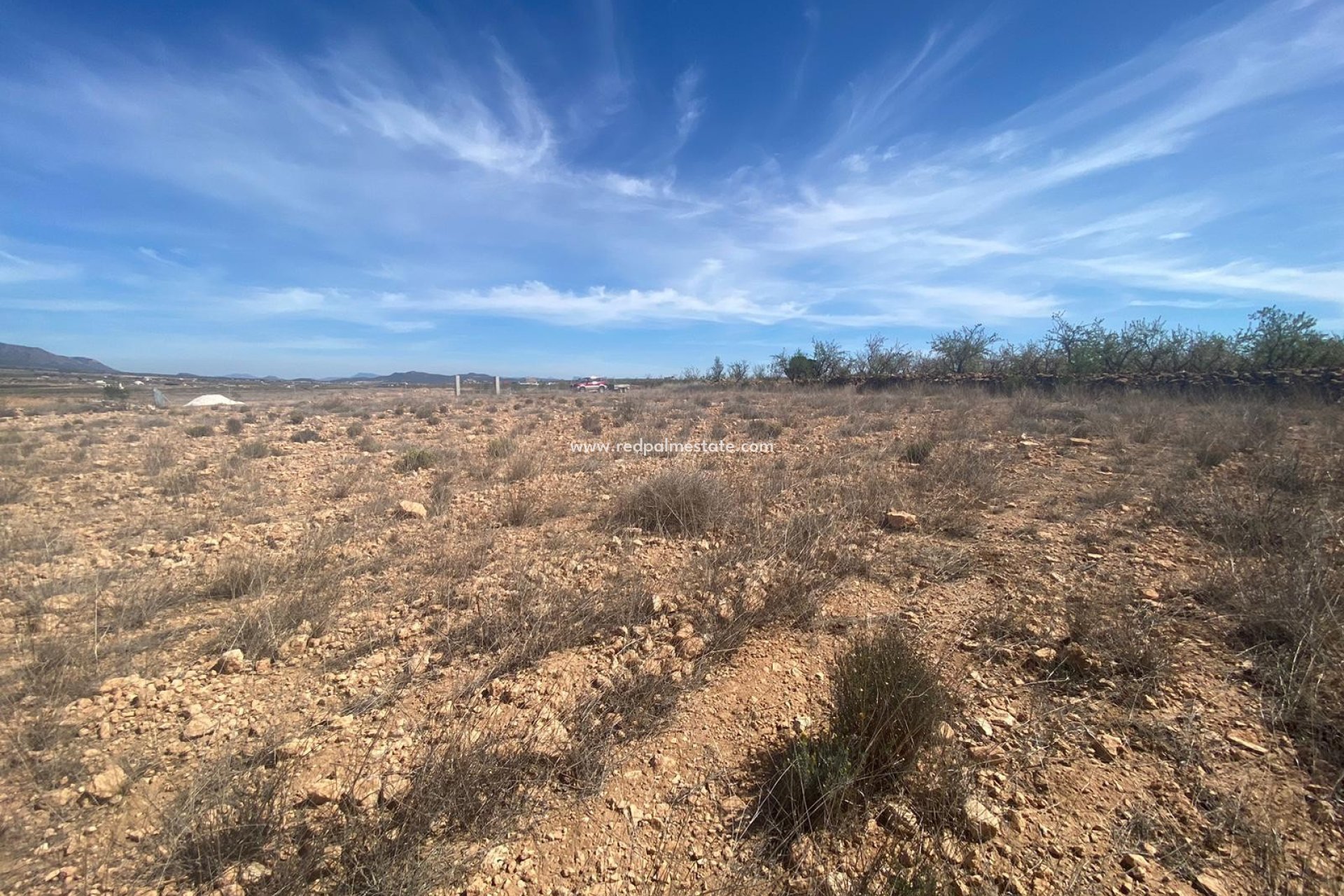 Resale - Plot -
Pinoso - Inland