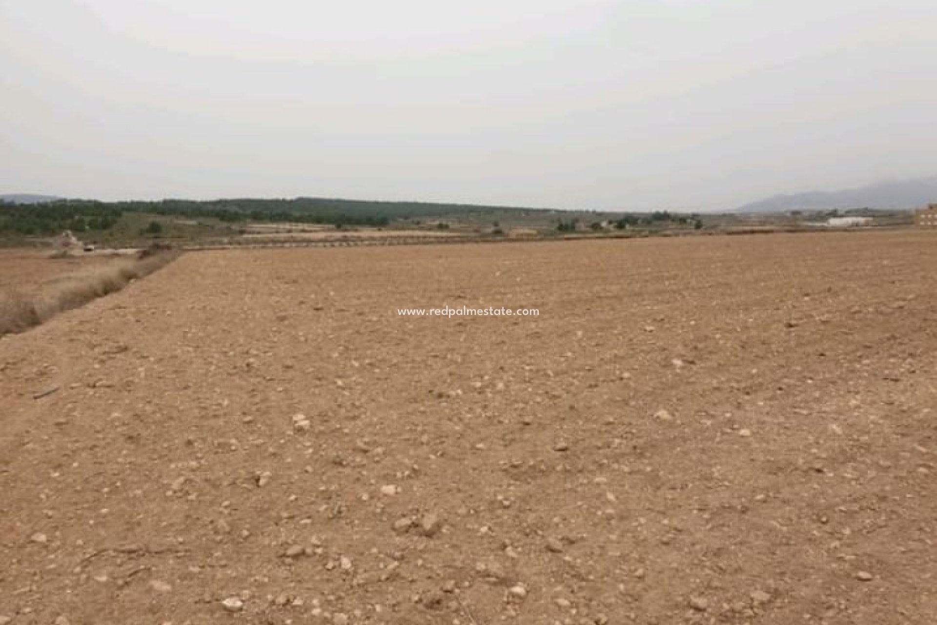 Resale - Plot -
Pinoso - Inland