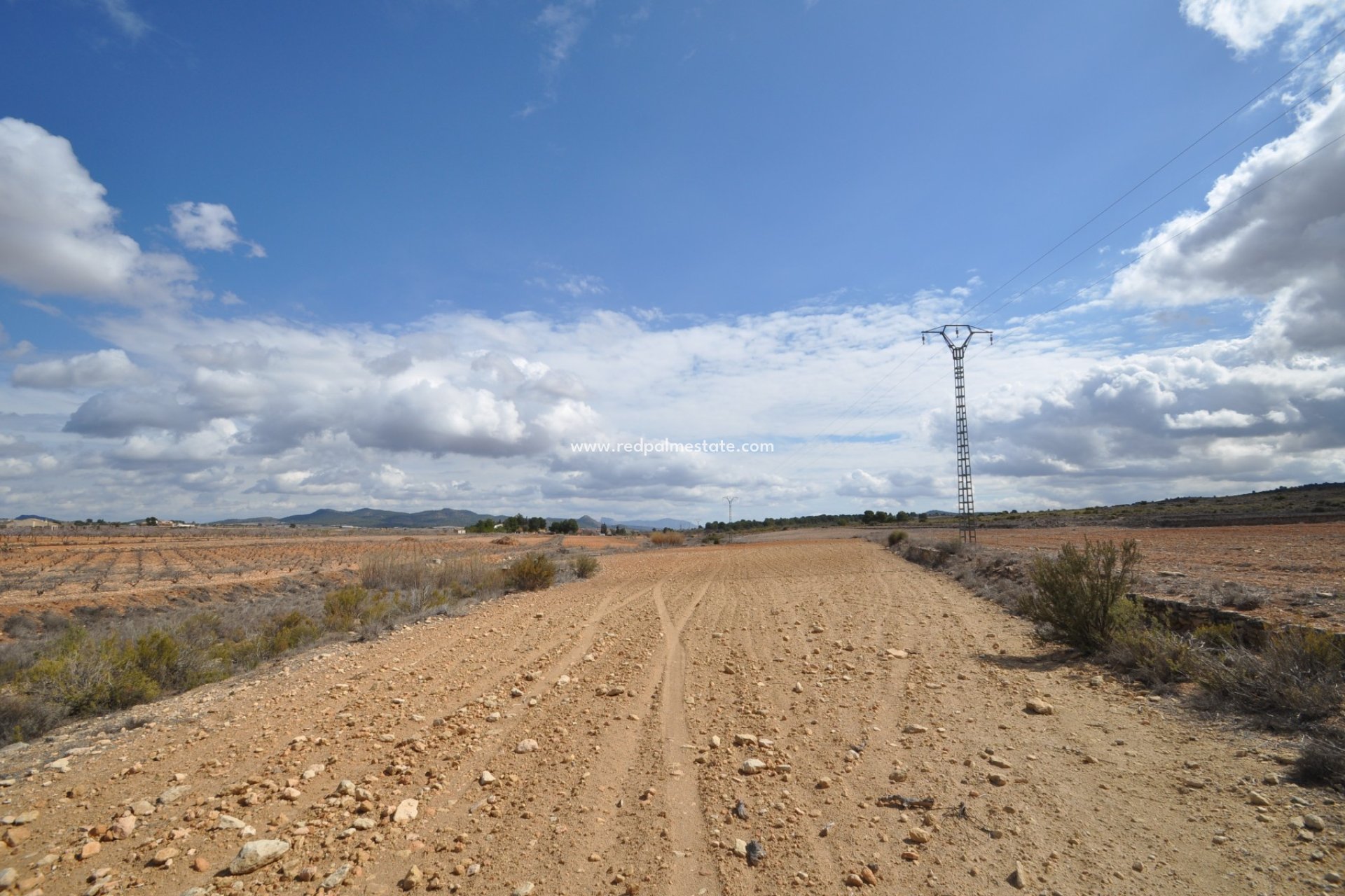 Resale - Plot -
Pinoso - Inland