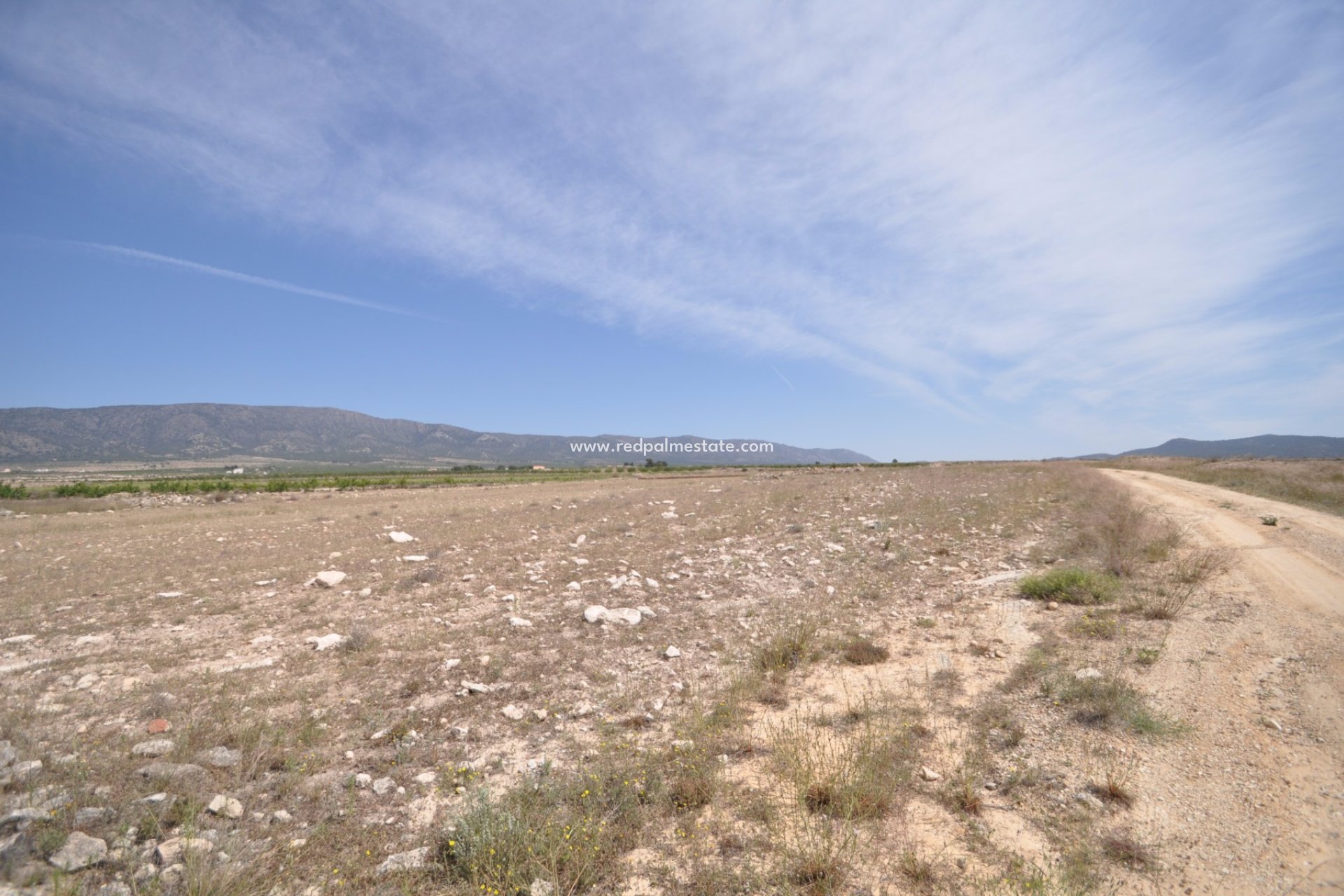 Resale - Plot -
Pinoso - Inland