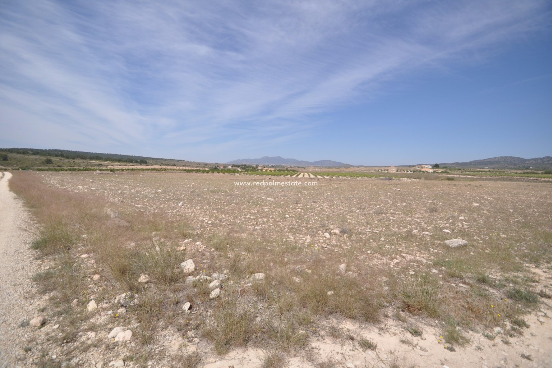 Resale - Plot -
Pinoso - Inland