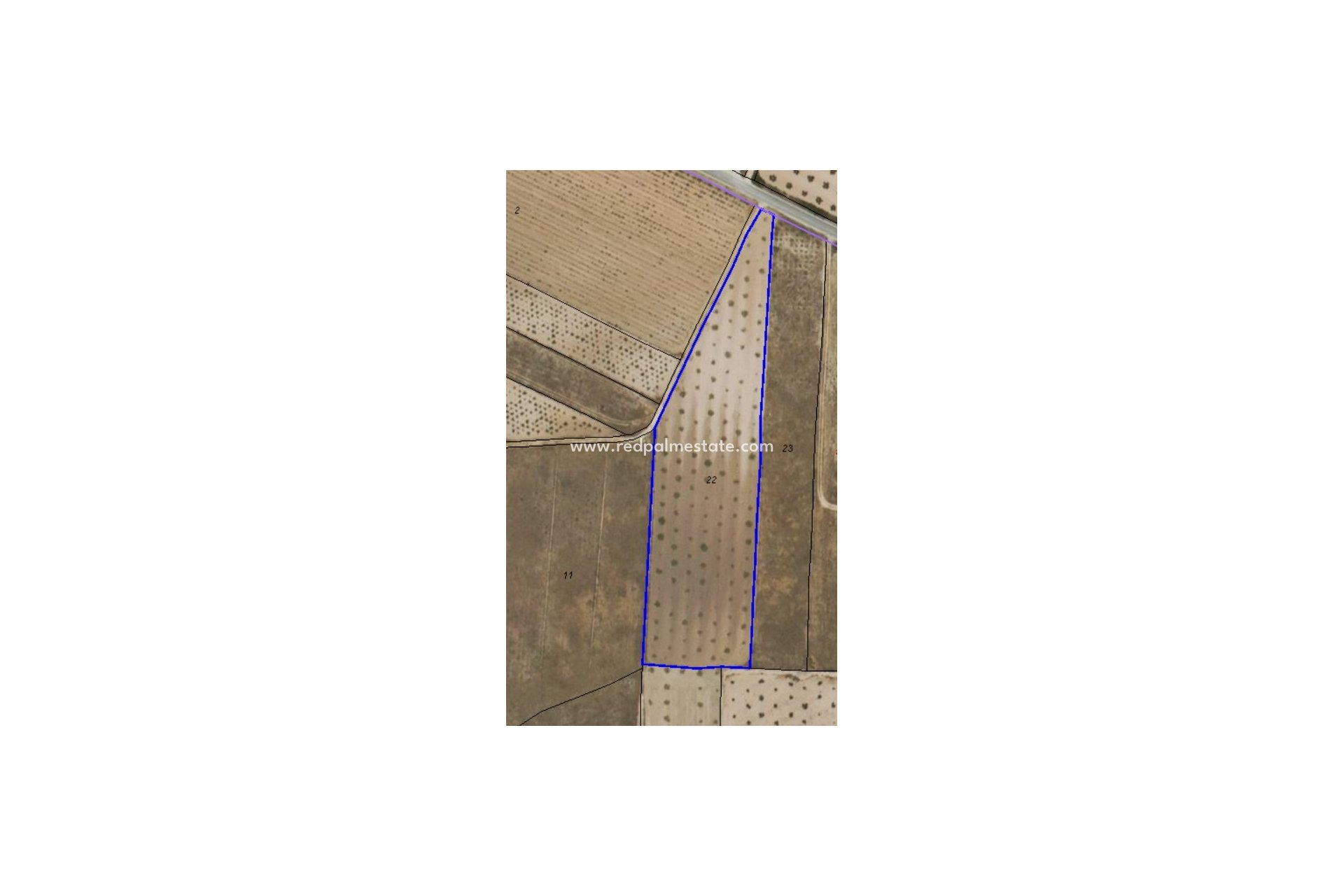 Resale - Plot -
Pinoso - Inland