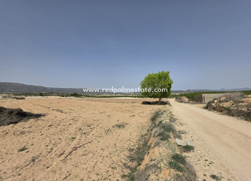 Resale - Plot -
Pinoso - Inland