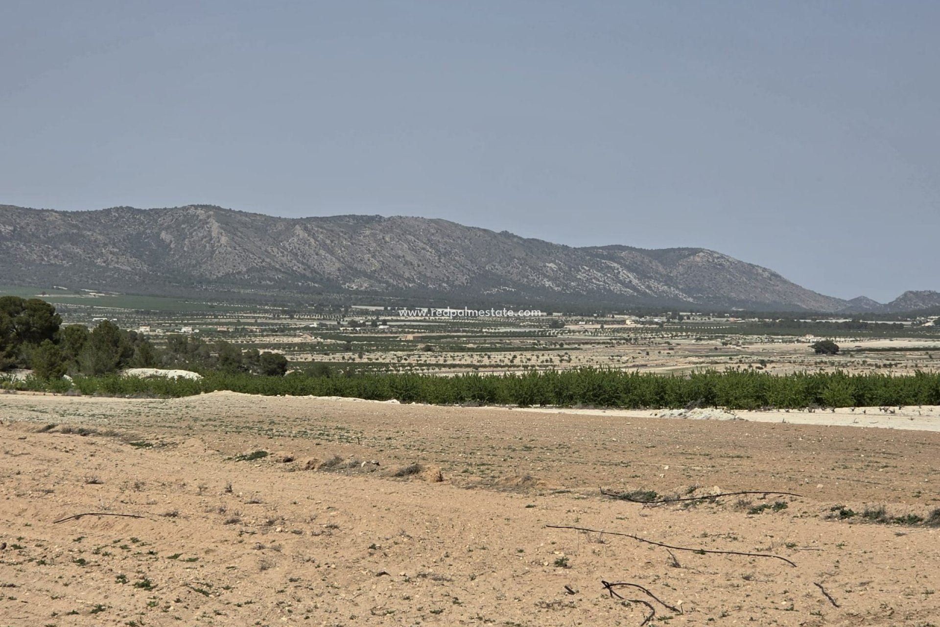 Resale - Plot -
Pinoso - Inland