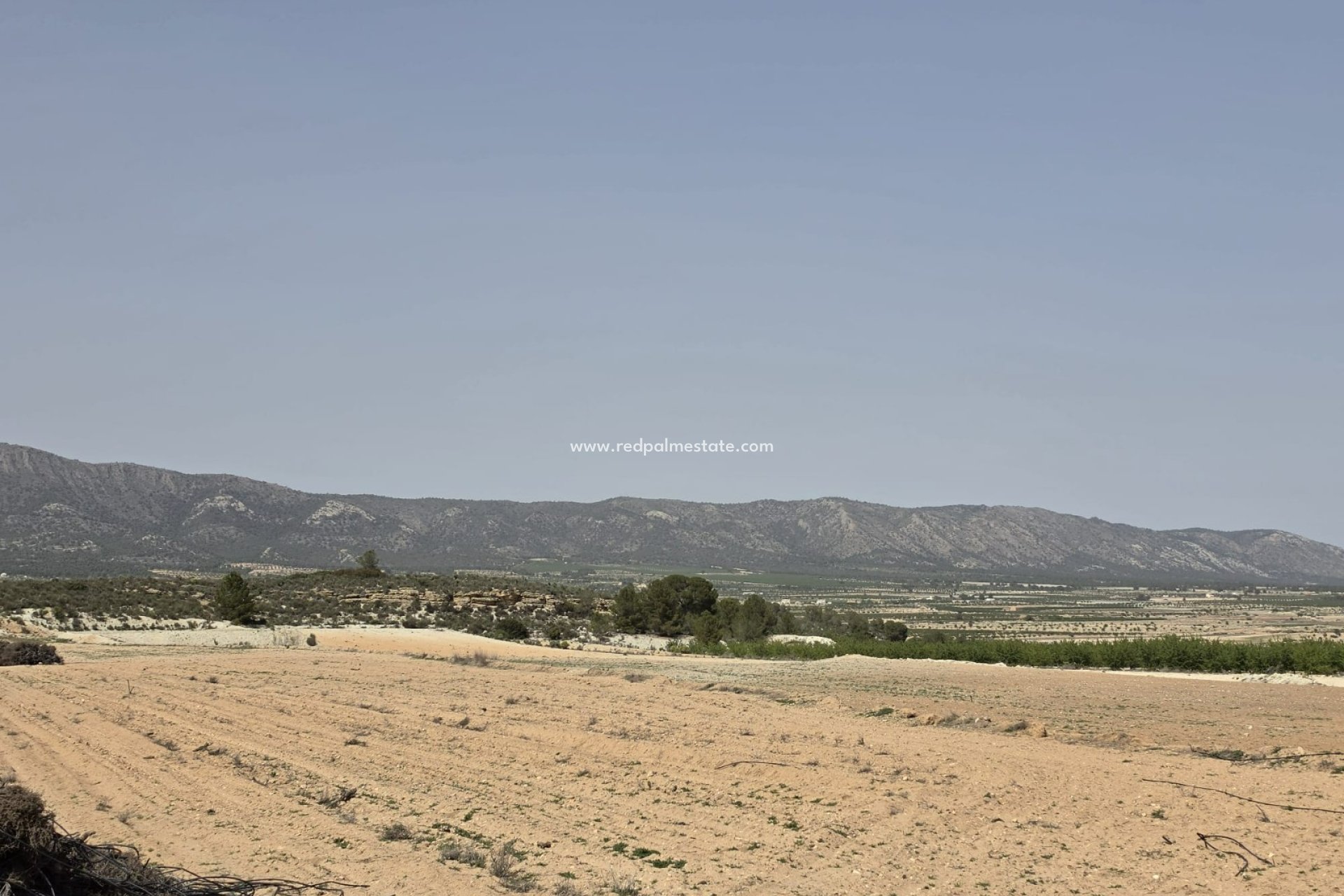 Resale - Plot -
Pinoso - Inland