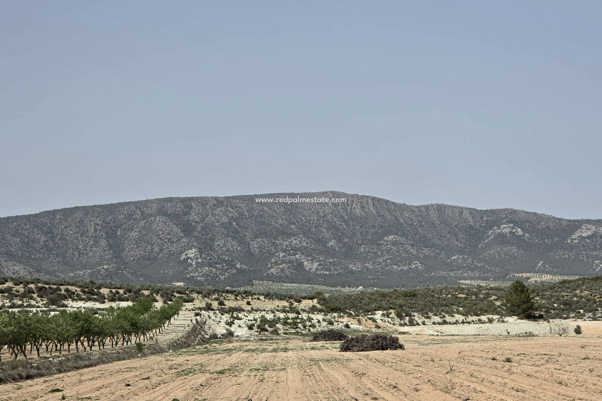 Resale - Plot -
Pinoso - Inland
