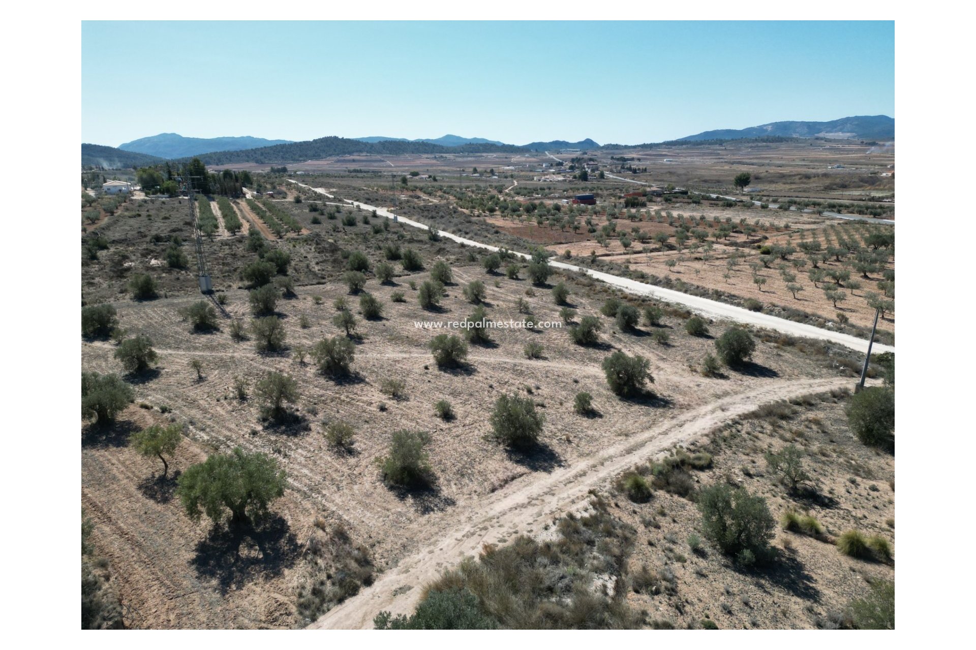Resale - Plot -
Pinoso - Inland