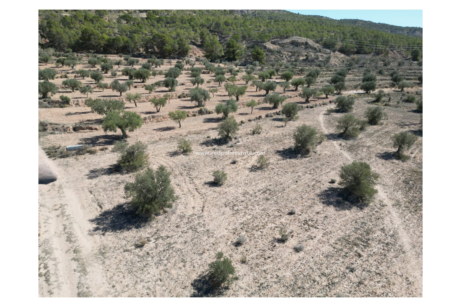 Resale - Plot -
Pinoso - Inland