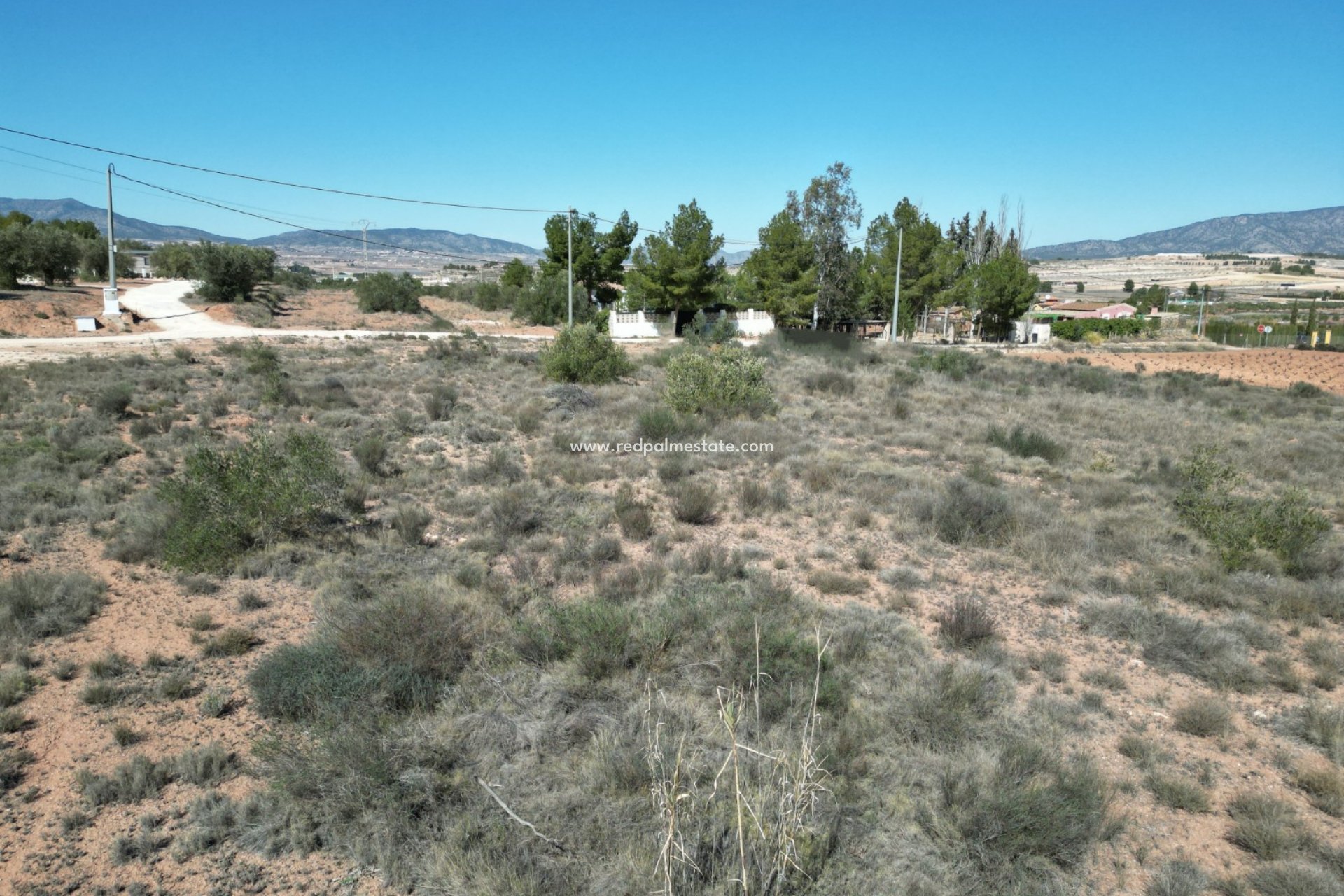 Resale - Plot -
Pinoso - Inland