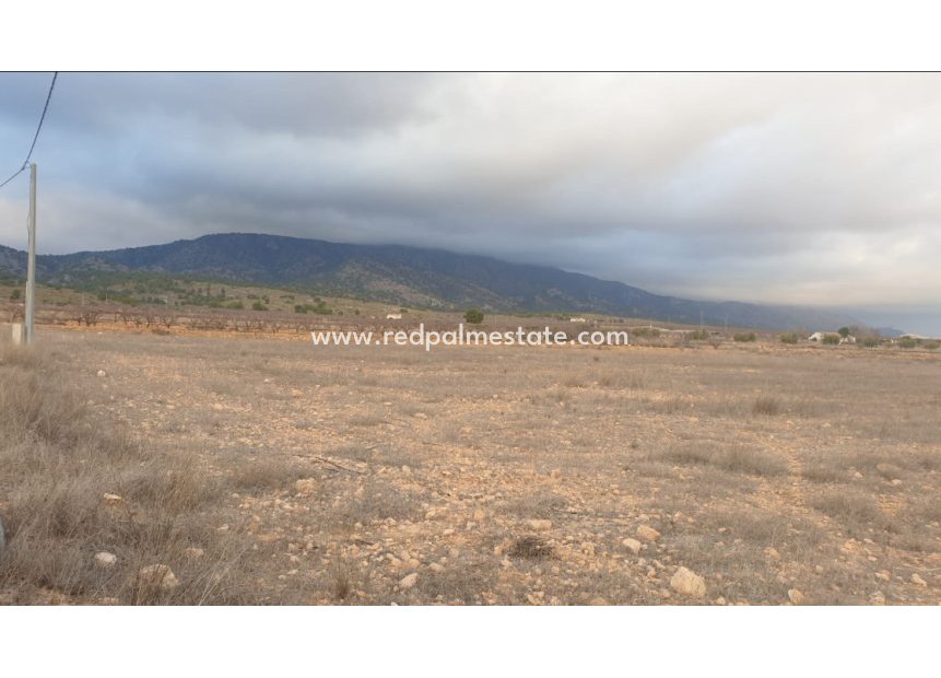 Resale - Plot -
Pinoso - Inland