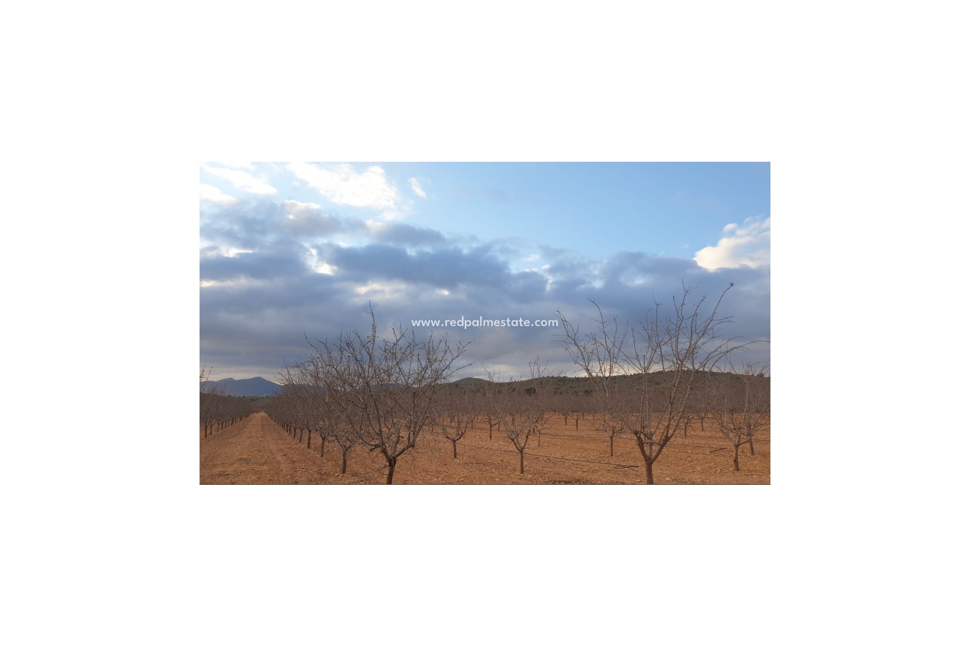 Resale - Plot -
Pinoso - Inland