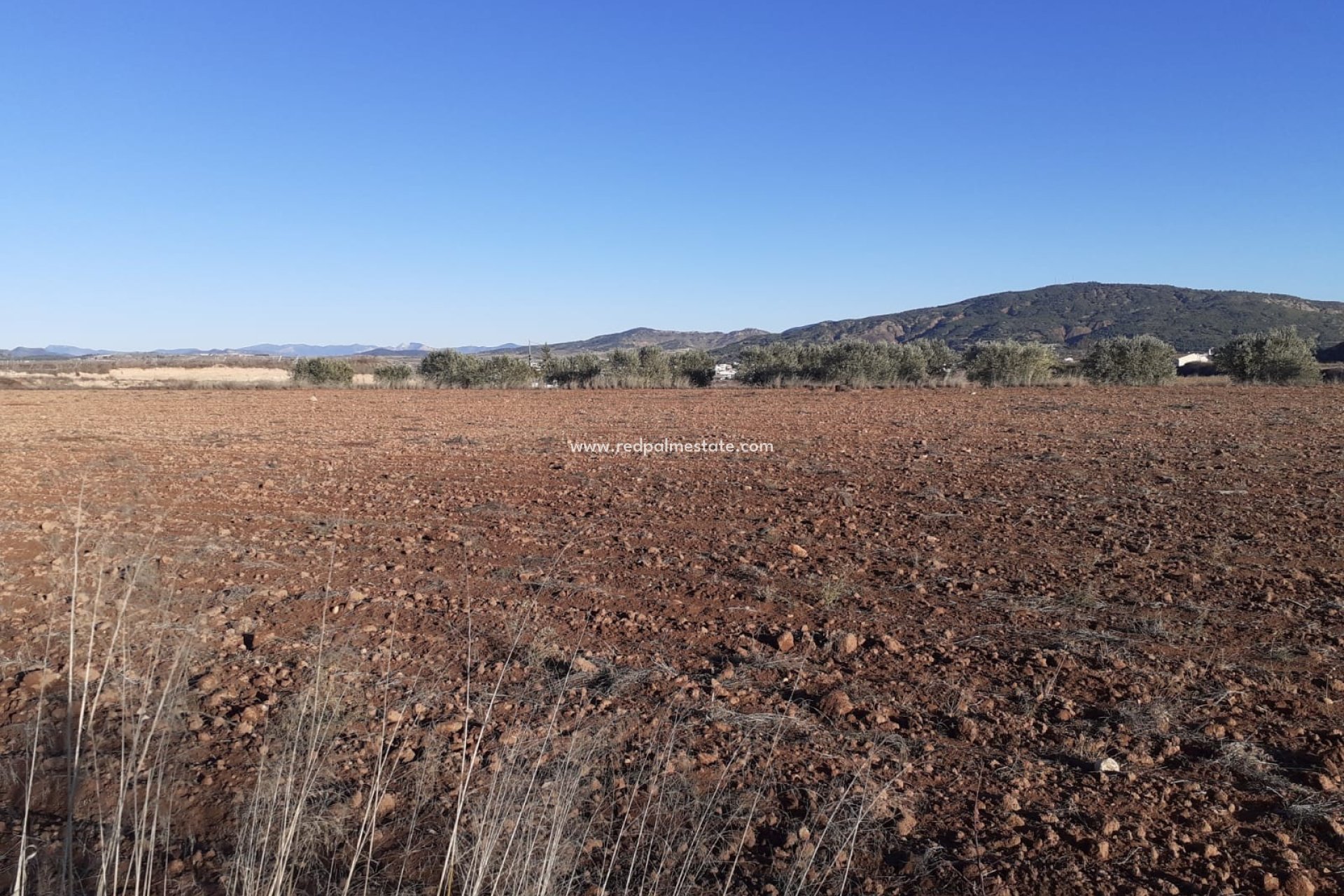 Resale - Plot -
Pinoso - Inland