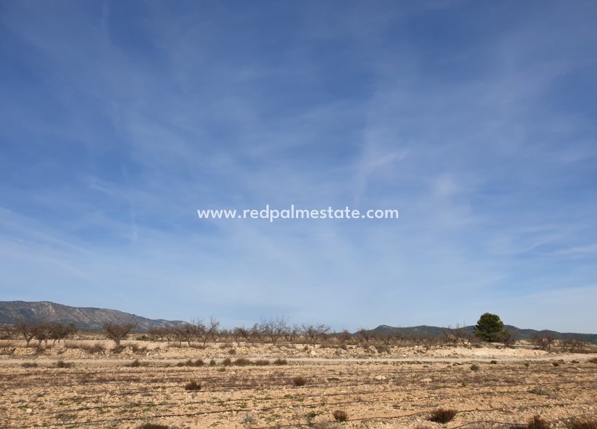 Resale - Plot -
Pinoso - Inland
