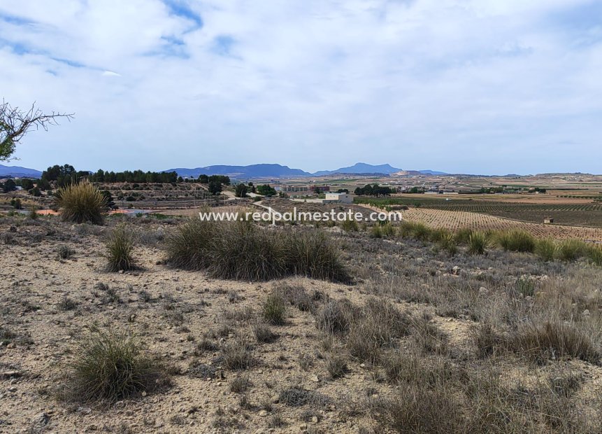 Resale - Plot -
Pinoso - Inland