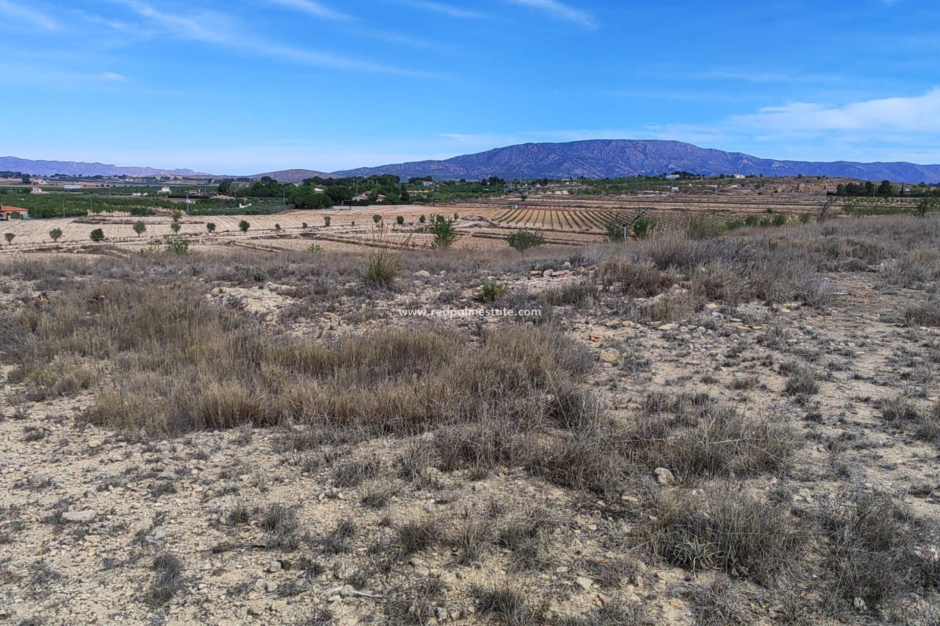 Resale - Plot -
Pinoso - Inland