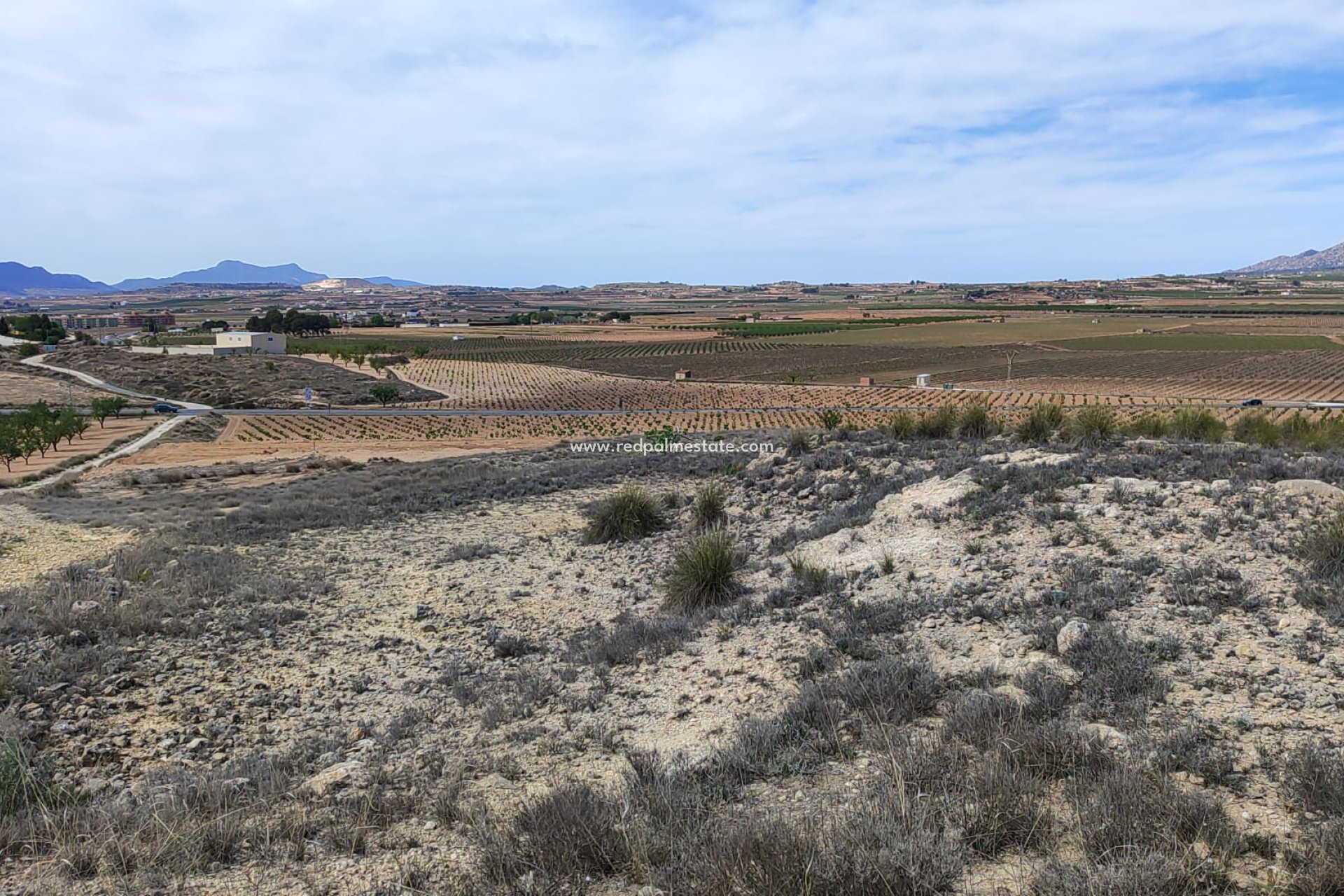 Resale - Plot -
Pinoso - Inland