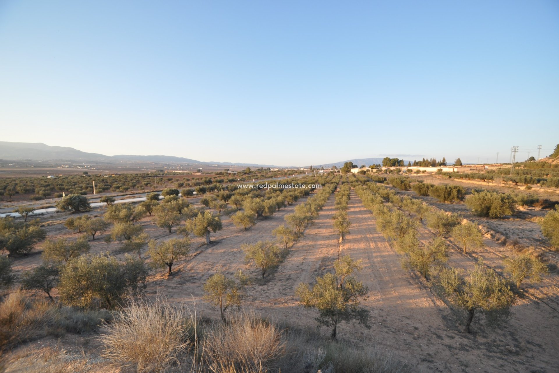 Resale - Plot -
Pinoso - Inland
