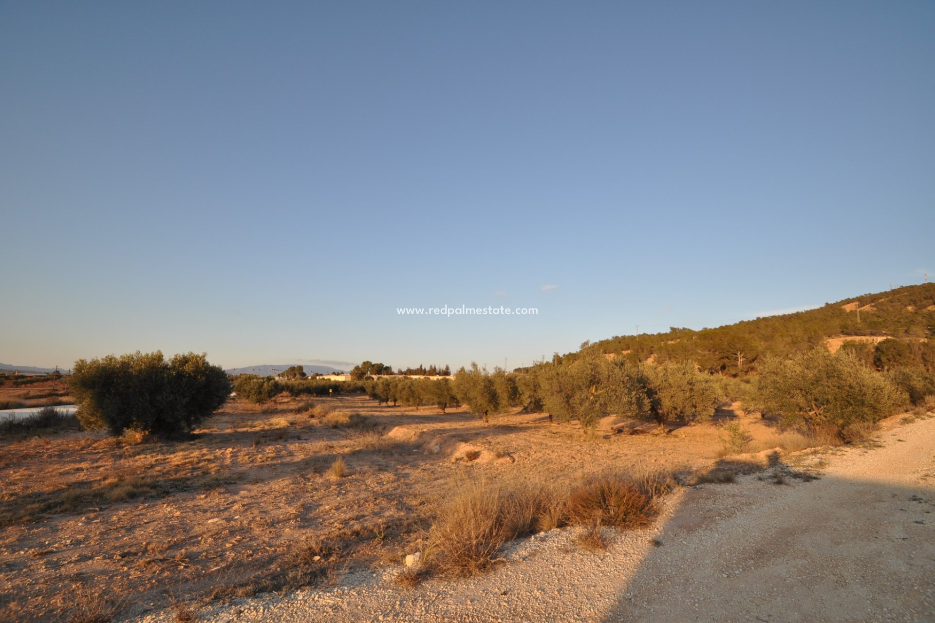 Resale - Plot -
Pinoso - Inland