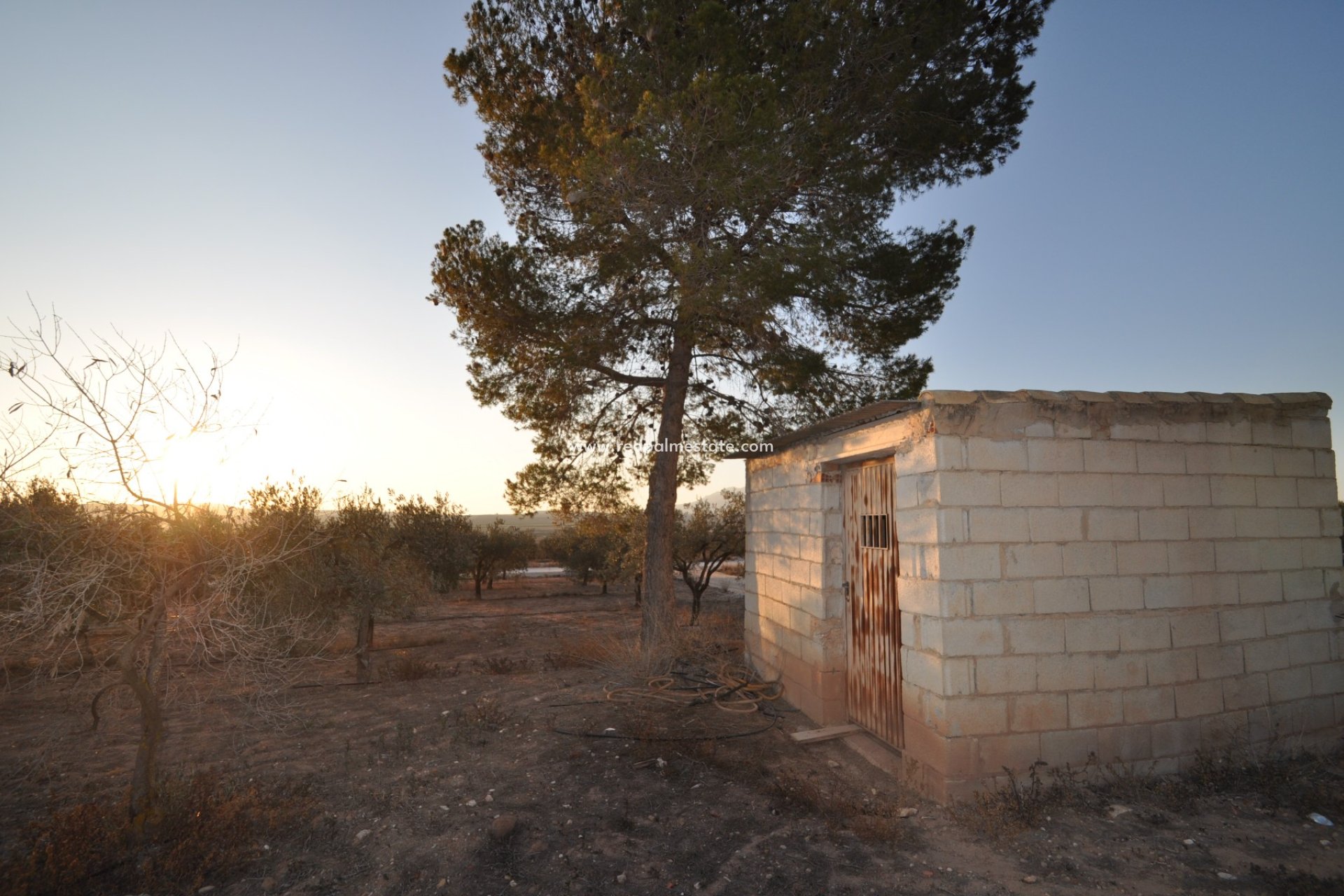 Resale - Plot -
Pinoso - Inland