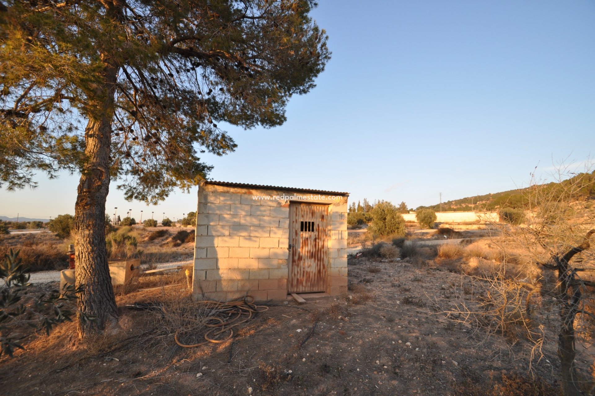 Resale - Plot -
Pinoso - Inland