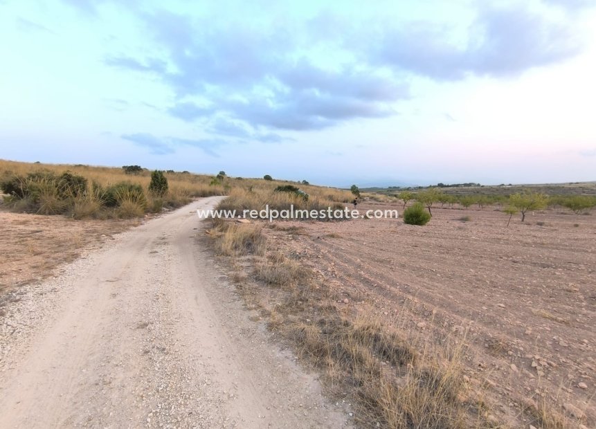 Resale - Plot -
Pinoso - Inland
