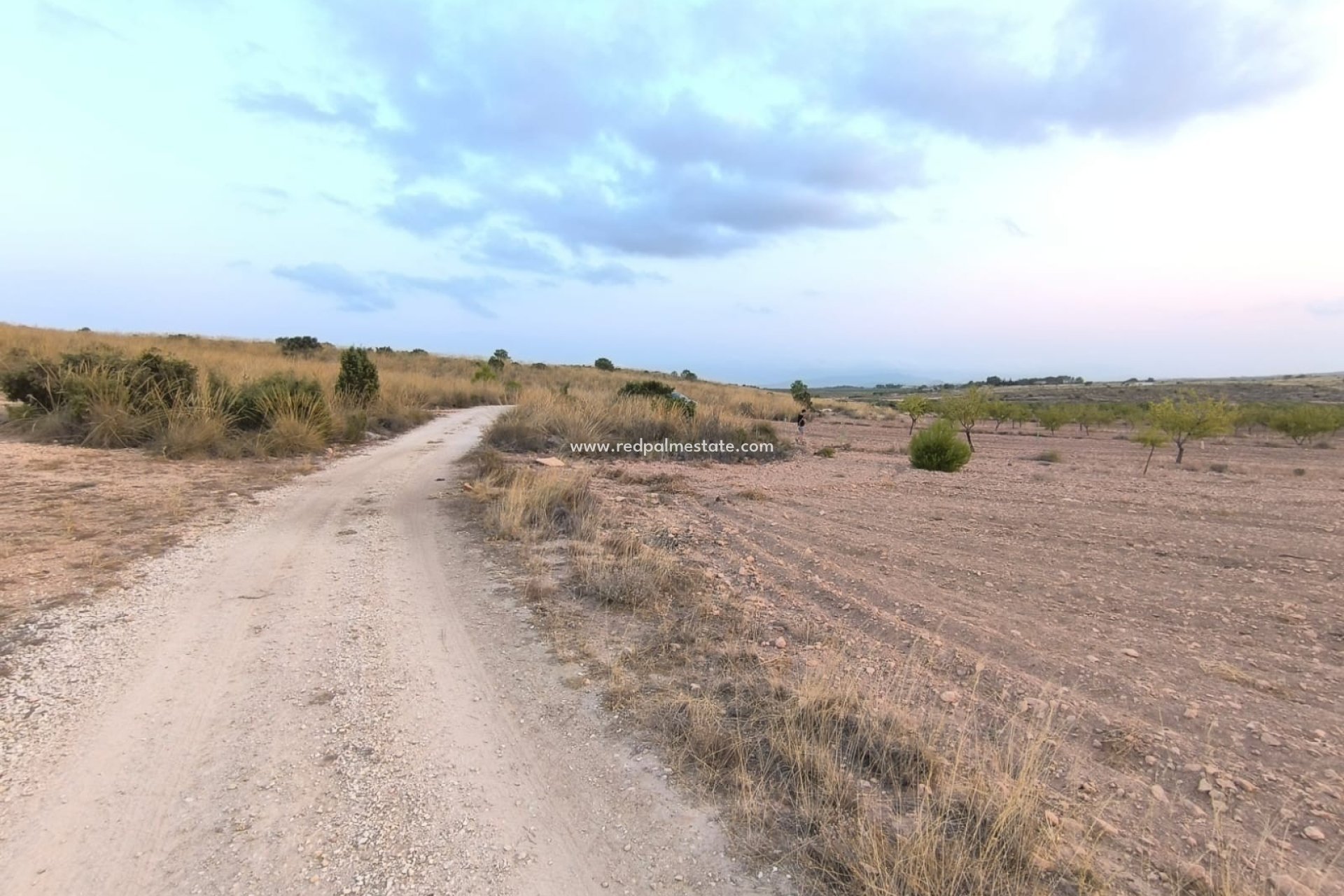 Resale - Plot -
Pinoso - Inland