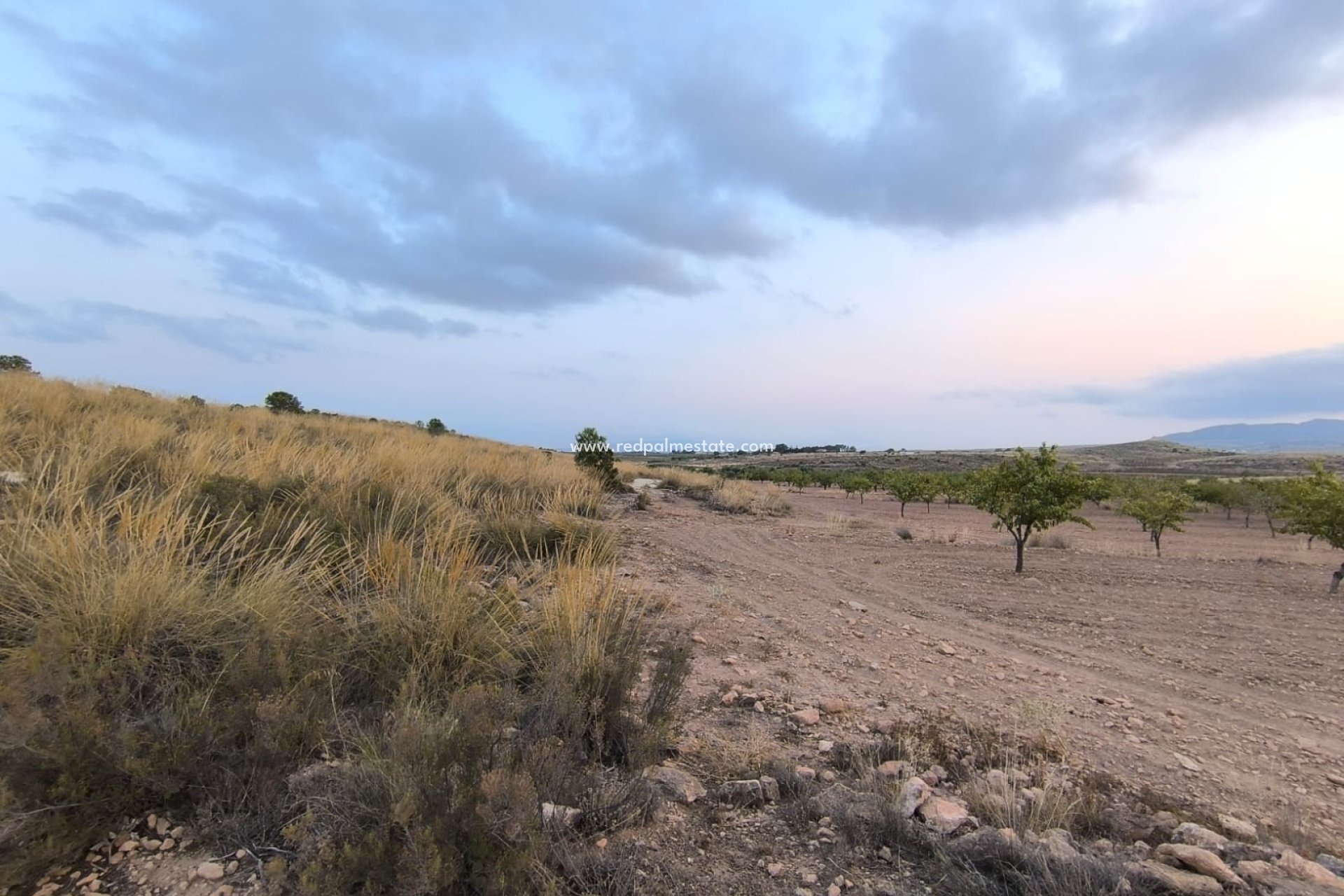 Resale - Plot -
Pinoso - Inland