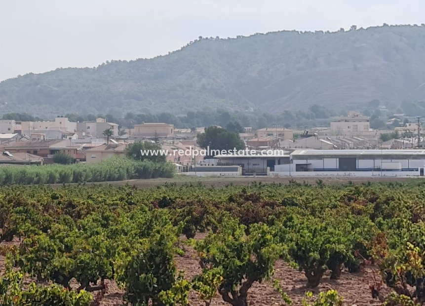 Resale - Plot -
Pinoso - Inland