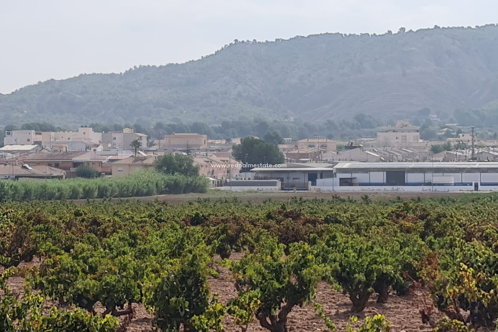 Resale - Plot -
Pinoso - Inland