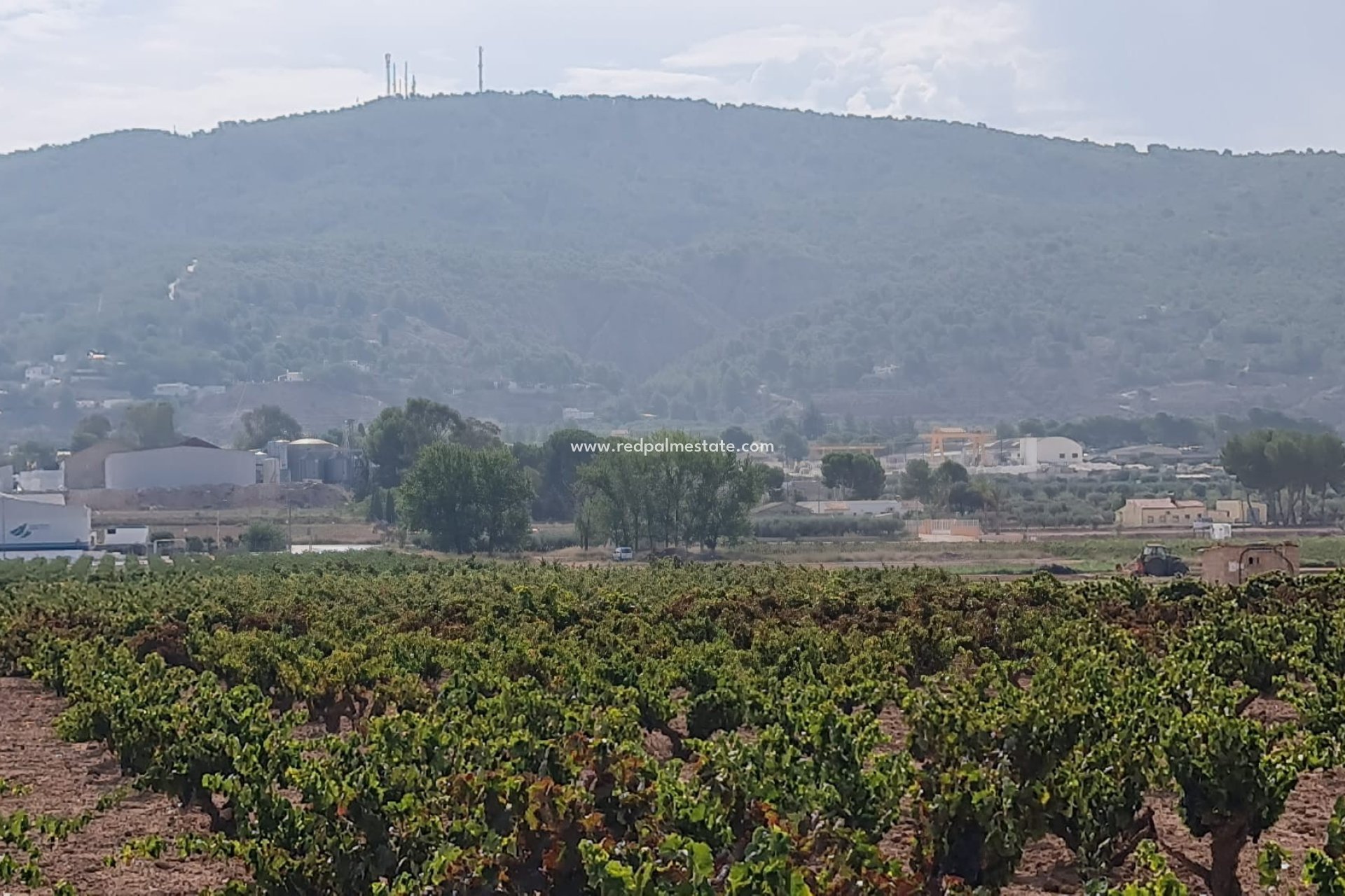 Resale - Plot -
Pinoso - Inland