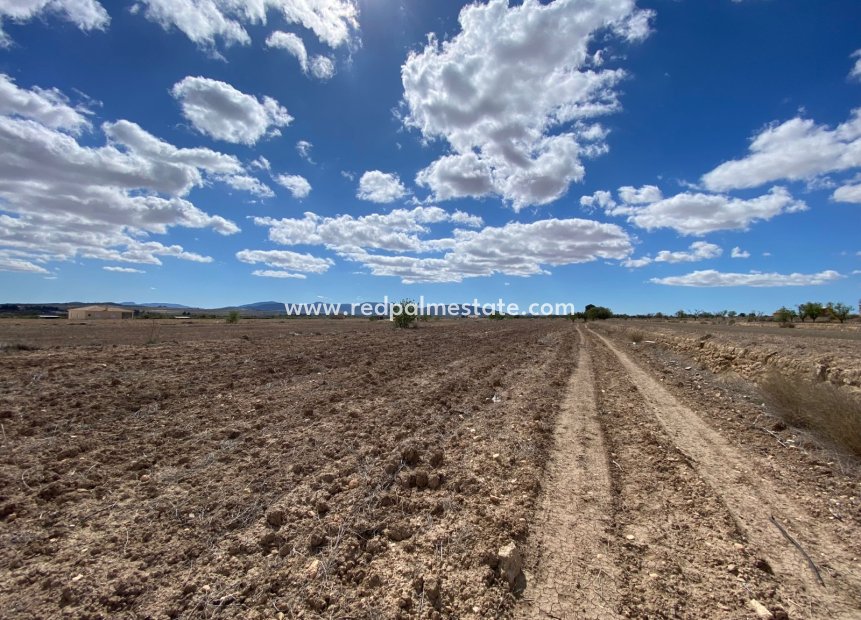 Resale - Plot -
Pinoso - Inland