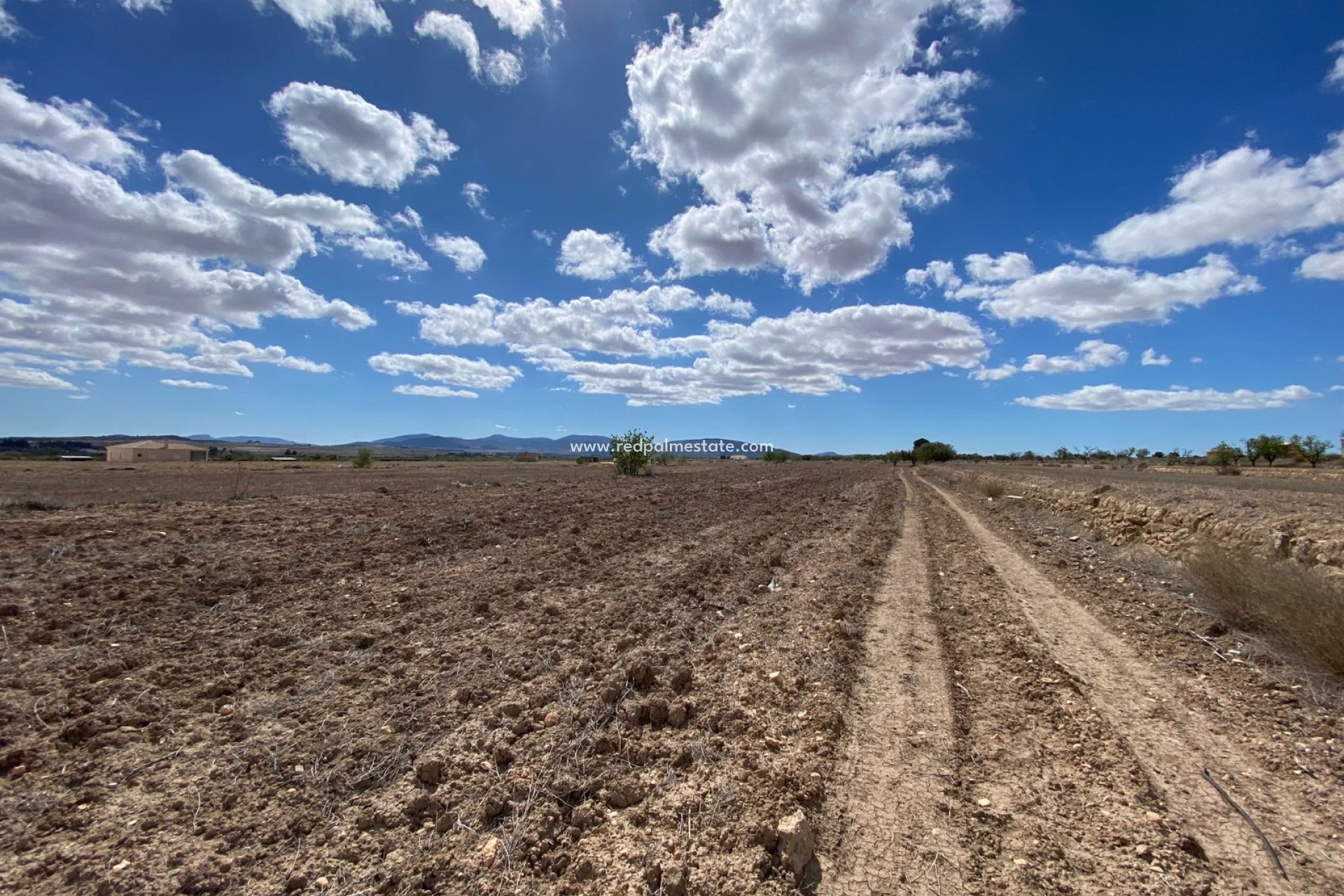 Resale - Plot -
Pinoso - Inland