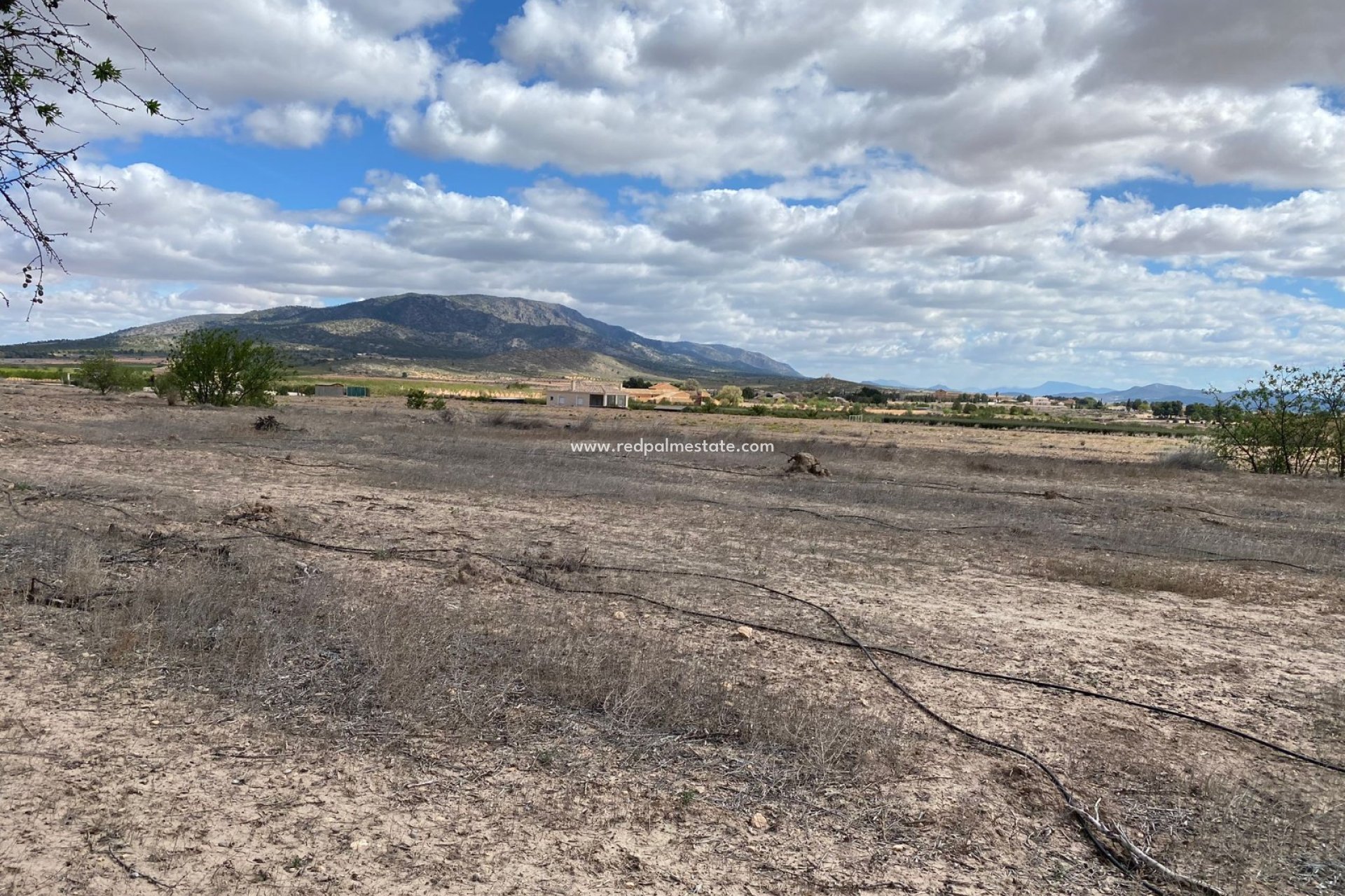 Resale - Plot -
Pinoso - Inland