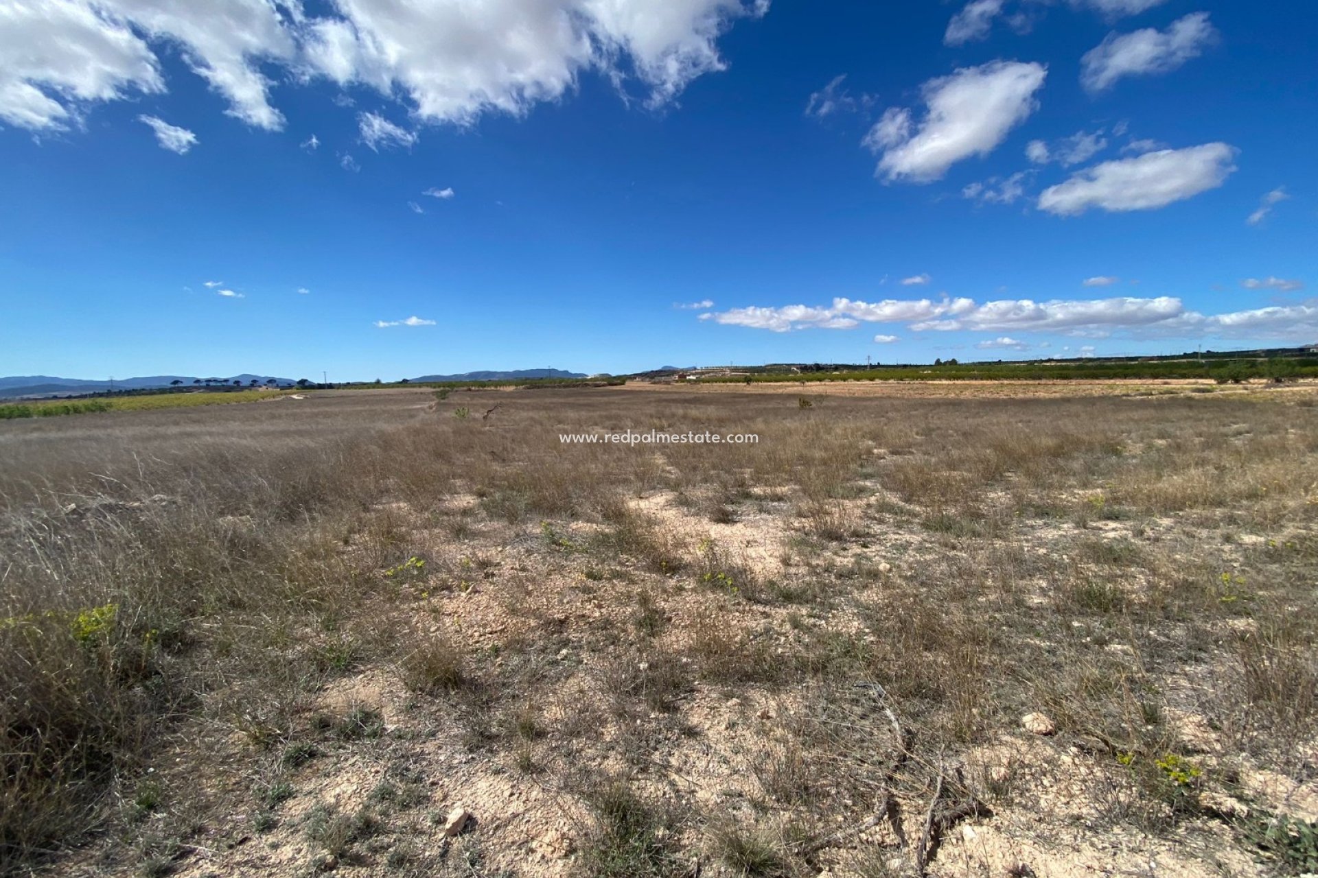 Resale - Plot -
Pinoso - Inland