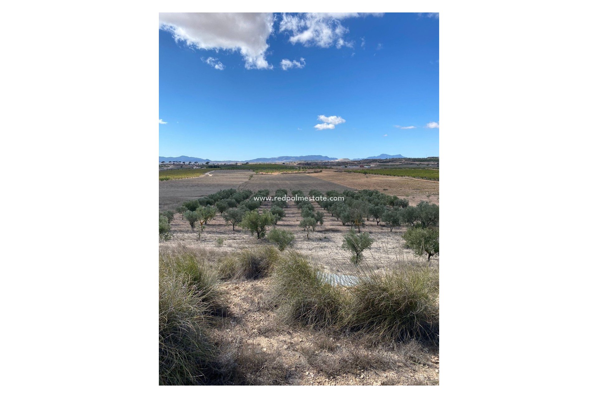 Resale - Plot -
Pinoso - Inland