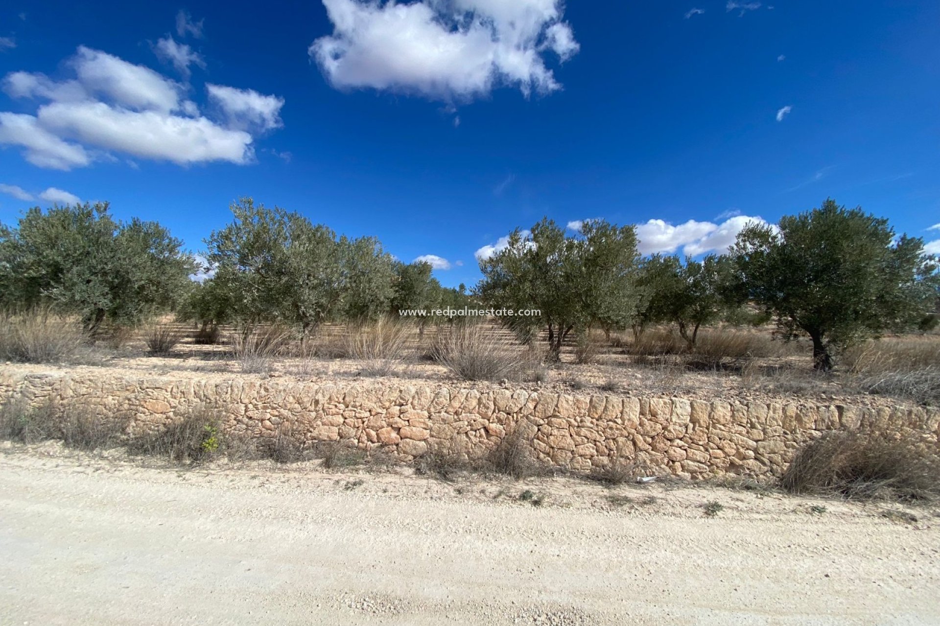 Resale - Plot -
Pinoso - Inland
