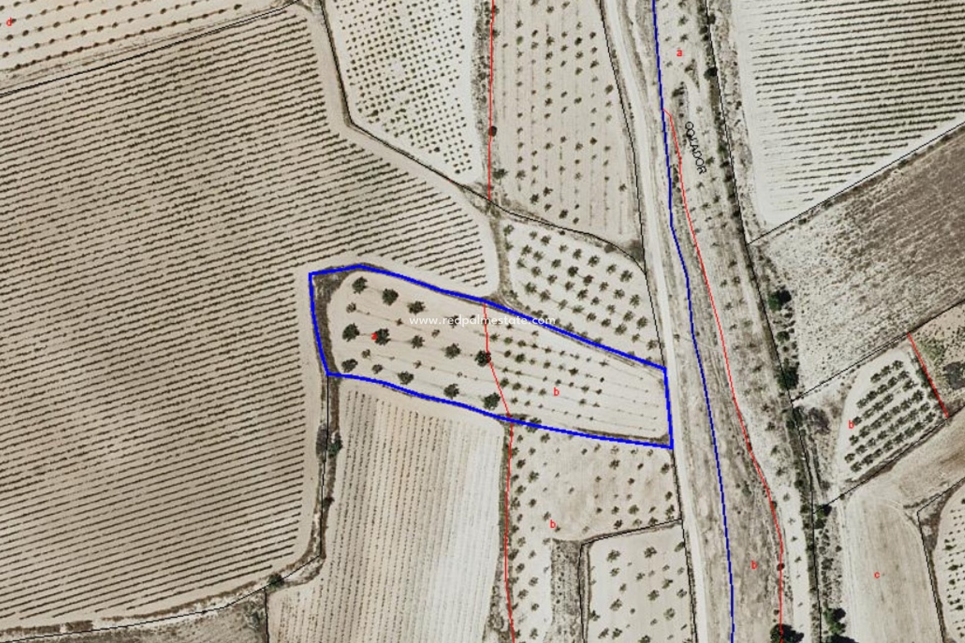Resale - Plot -
Pinoso - Inland