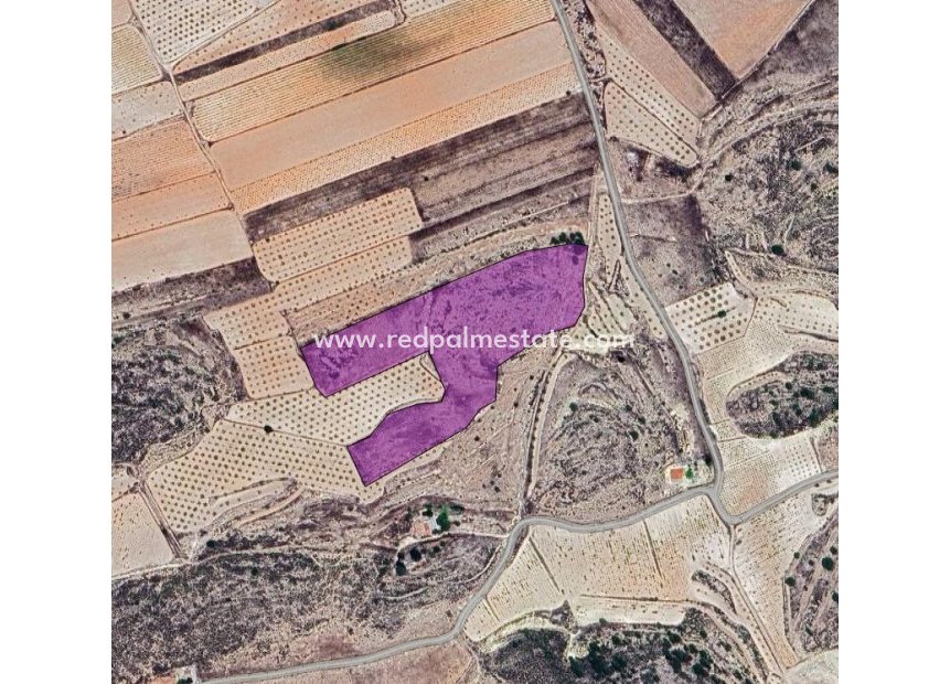 Resale - Plot -
Pinoso - Inland